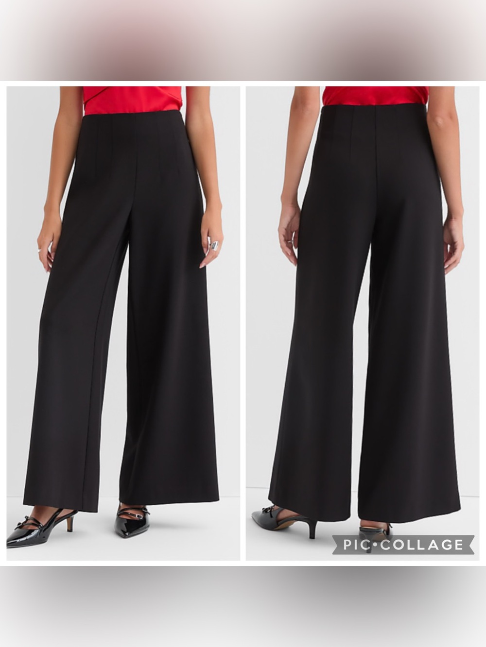 LOFT Darted Palazzo Pants in Doubleface Size 12P